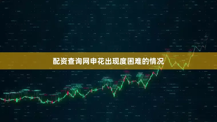 配资查询网申花出现度困难的情况